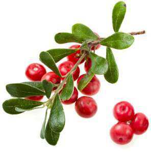 Распадаясь в организме, он трансформируется в гидрохинон соединение, облегчающее состояние при кислородном голодании