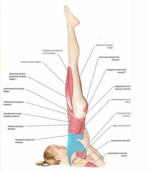 Поза лягушки превратит в принцессу