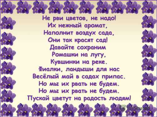 Теперь начинаем оформление птиц