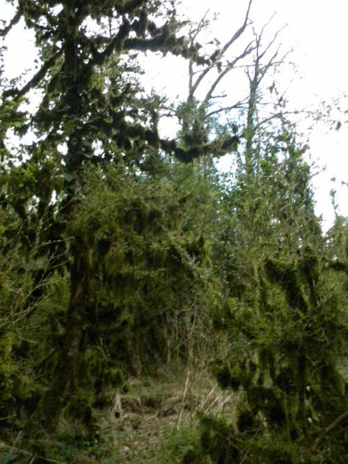 Хотите попасть в сказку братьев Гримм Запросто