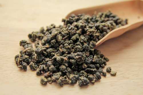 Польза молочного гриба, возможный вред, кому