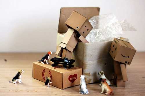 Как правильно организовать переезд