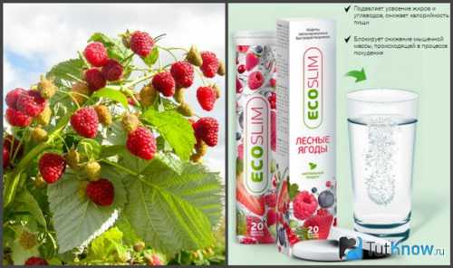 В ее основе экстракт гуараны, водоросли