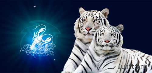 Ему с каждым разом хочется разгадывать все новые и новые загадки