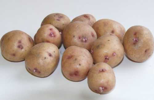 Также в составе находится много натрия, кальция, железа и хлора