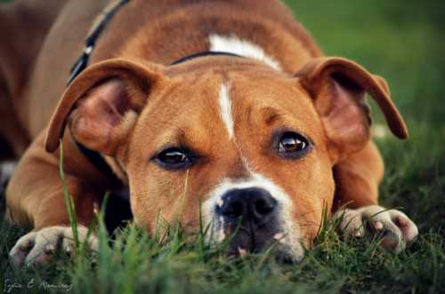 Как поднять себе настроение