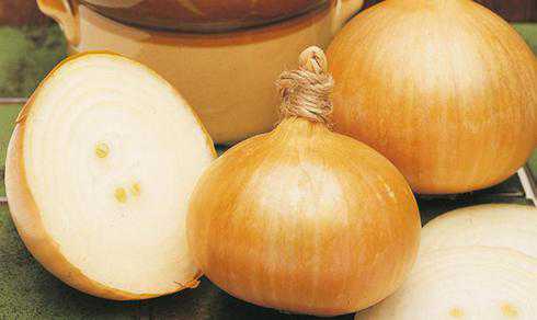 Ящики накрывают пленкой и убирают в темное, но теплое место