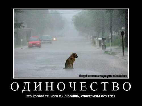 Важно регулярно целиком вырезать сильные ветки, растущие внутрь кроны