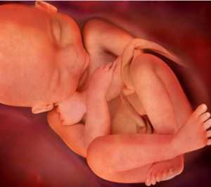 На ой неделе беременности некоторые женщины становятся слишком неповоротки, поэтому утренний подъем с кровати может превратиться в настоящее испытание