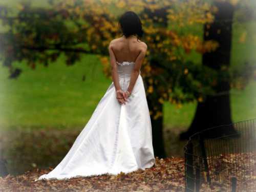 Сонник века