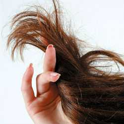 Почему волосы секутся