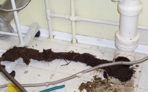 Что делать, если забилась канализация: причины и