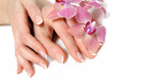 Домашний тренинг