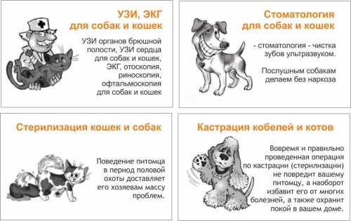 В первую очередь это профессиональная гигиена полости рта, позволяющая устранить мягкий и пигменти рованный налет, а также удалить наддесневой и поддесневой зубной камень