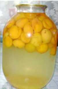 Рецепты компота из абрикосов на зиму без