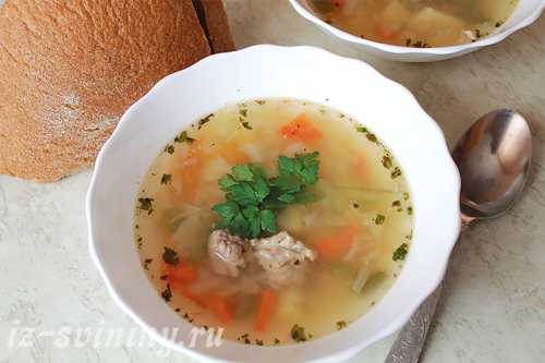 Рецепты щей из свежей капусты со свининой: