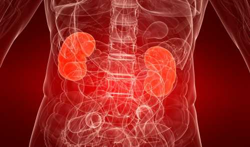 Врач спросит, какие лекарства пациент принимал впоследнее время, какими инфекционными болезнями страда икакие заболевания почек были унего всемье