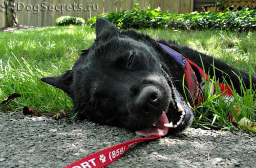 Замедленные действия, неустойчивое положение тела общий признак болезни