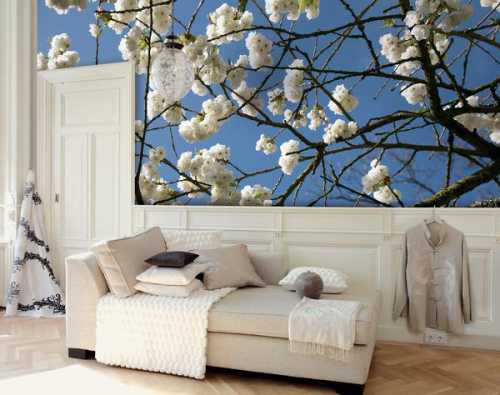 Это идеальное место для использования фотообоев