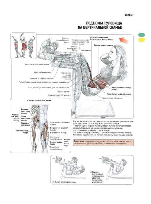Статья по теме