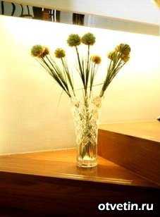 Если в вашем доме есть маленькие дети, то наверняка вы уже знаете, как удалять следы от фломастеров с холодильника и мебели