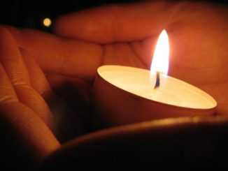 Способы применения перекиси водорода в комнатном цветоводстве