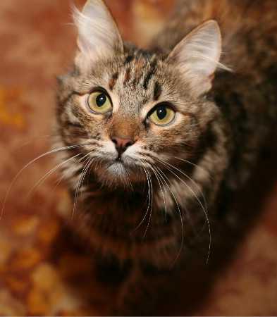 27 ноября — 3 декабря: ставьте новые цели