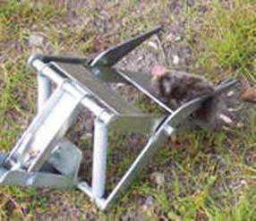 В случаев достаточно использовать народные средства