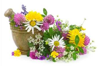 Чистка печени народными средствами в домашних условиях