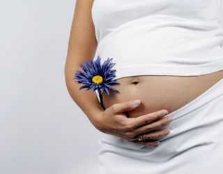 Ответ врачей на данный вопрос таков любое инфекционное, воспалительное, простудное заболевание к которым, собственно и относится фарингит представляет прямую опасность для жизнедеятельности, формирования и развития плода