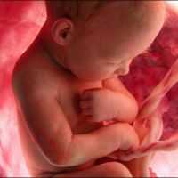 Как происходит выкидыш Как происходит выкидыш