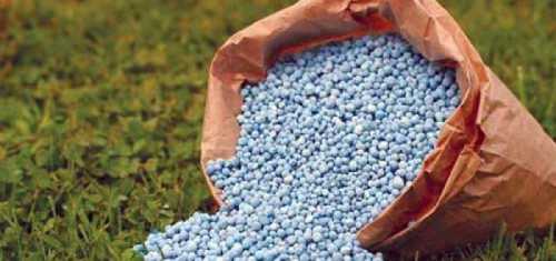 Особенно хорошо себя сульфат аммония показывает при использовании на картошке, капусте и редьке