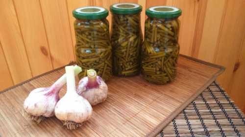 Сад и огород