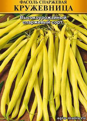 Фасоль спаржевая: посадка и уход, выбираем семена