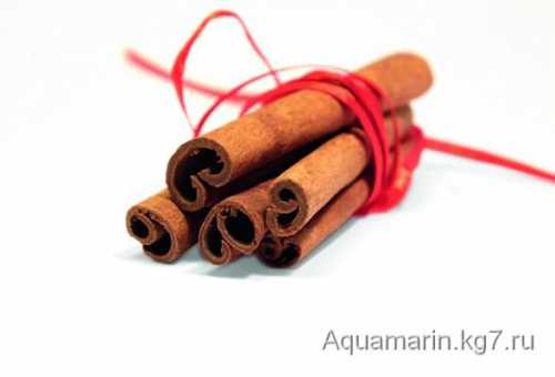 На данной странице есть ошибки, пожалуйста, исправьте их