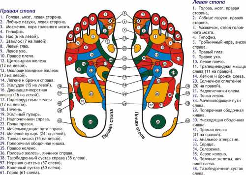 Лечится антибиотиками и противовоспали тельными препаратами, по назначению врача