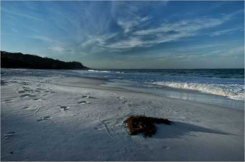 Их невидно под водой изза прозрачности, длиной они всего около десяти см, но их щупальца длинные
