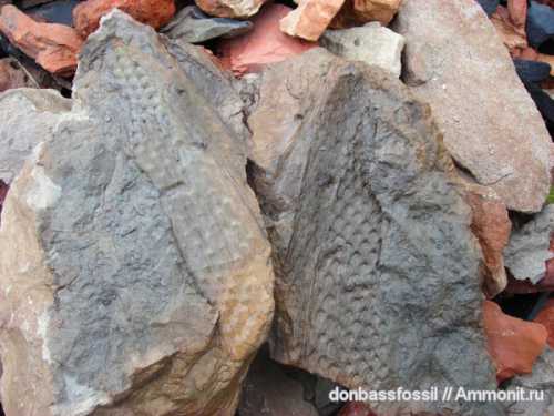 И как бы не перечисляли женщины множество преимуществ сожительства, внутри каждой из них таится страх быть брошенной