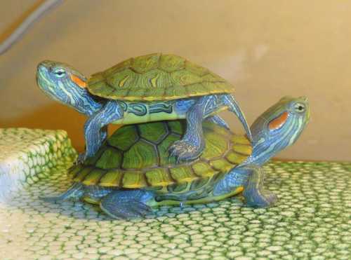 А вспомните, когда вы ее купили