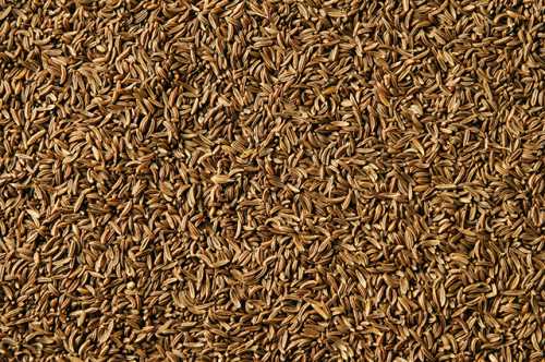 Польза бородинского хлеба, возможный вред, кому