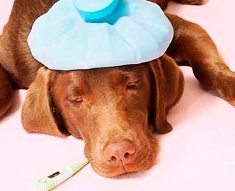 Что делать при отравлении