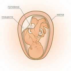Не бойтесь наступления беременности