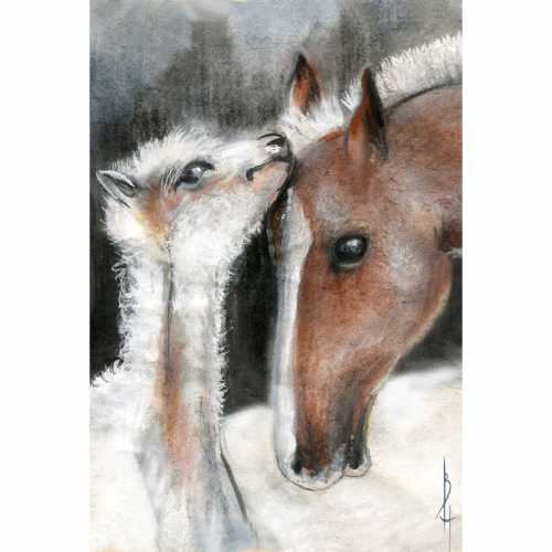 Комплексы йоги