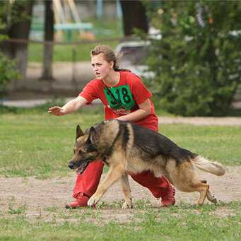 Как только освоили команду ко мне, можно переходить изучать команду место