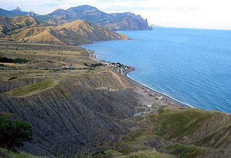 Можно ли пить спиртное до и после биоревитализации решайте сами