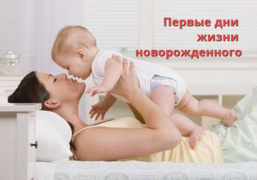 Выписки из лицевых счетов и домовых книг