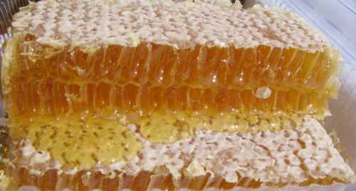 Известно, что пластик со временем теряет свои свойства под воздействием солнца и окружающей среды, выделяя токсические вещества в продукты